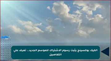 الكيك بوكسينج يثبت رسوم الاشتراك للموسم الجديد.. تعرف على التفاصيل